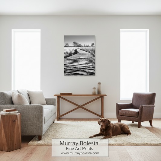 A black and white landscape art print of a wooden boardwalk over water, displayed on a wall in a modern, bright living room with a brown leather armchair, a gray sofa, and a brown dog lying on a cream rug. A watermark for 'Murray Bolesta Fine Art Prints' is visible at the bottom.