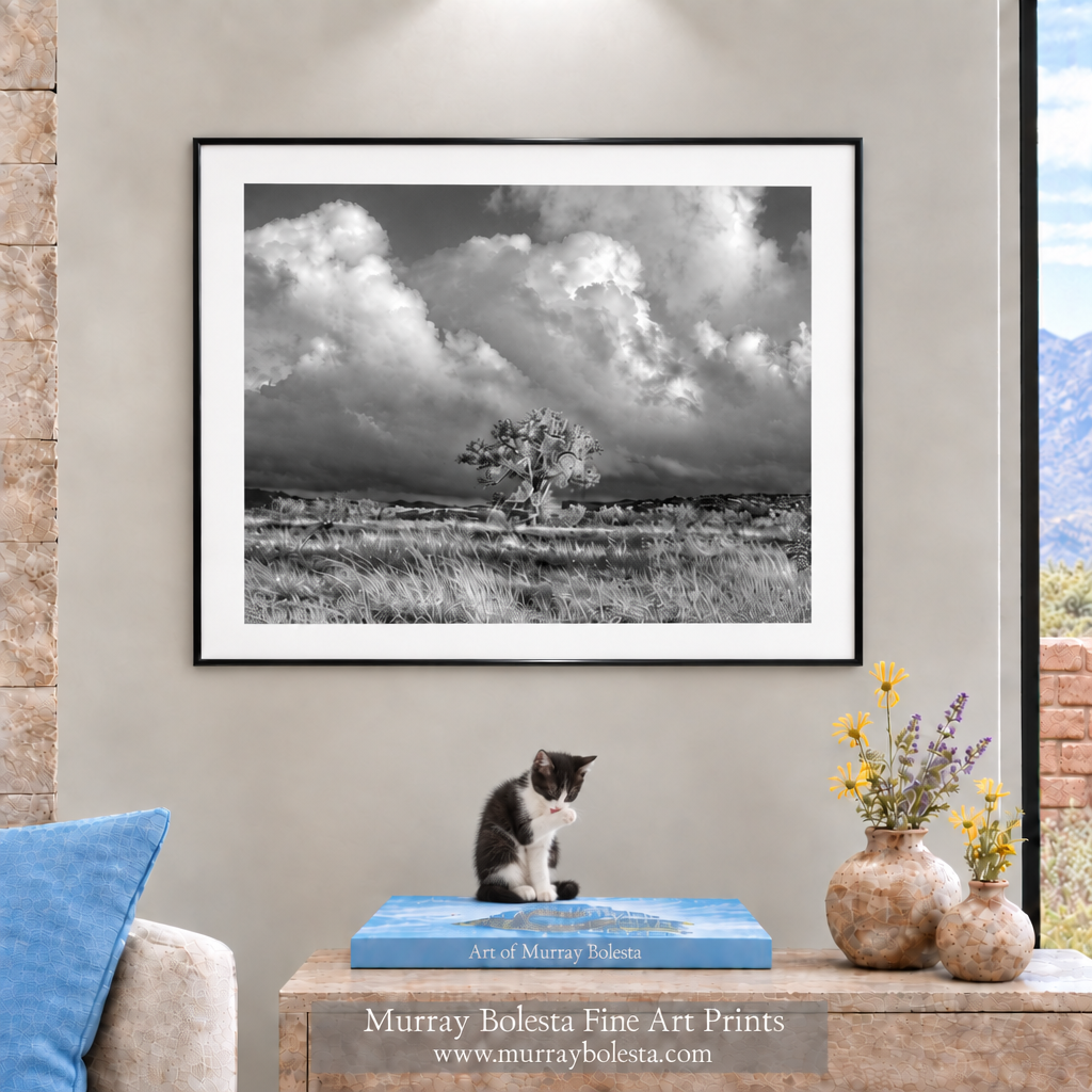 Arivaca Arizona Cienega Cottonwood Tree in Black and White by Murray Bolesta