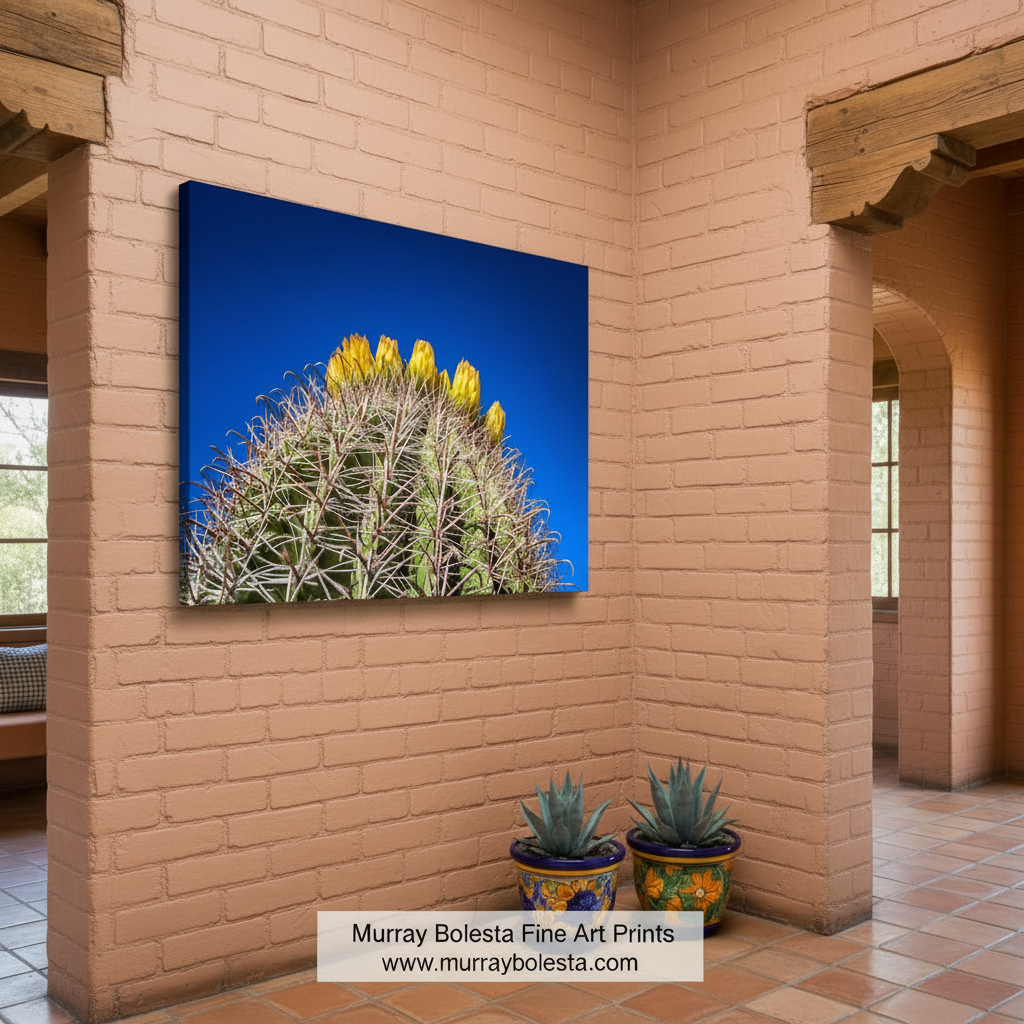 A cactus with yellow flowers blooming against a clear blue sky. Cactus Flowers Arizona Desert | Bold Southwestern Wall Art Print by Murray Bolesta