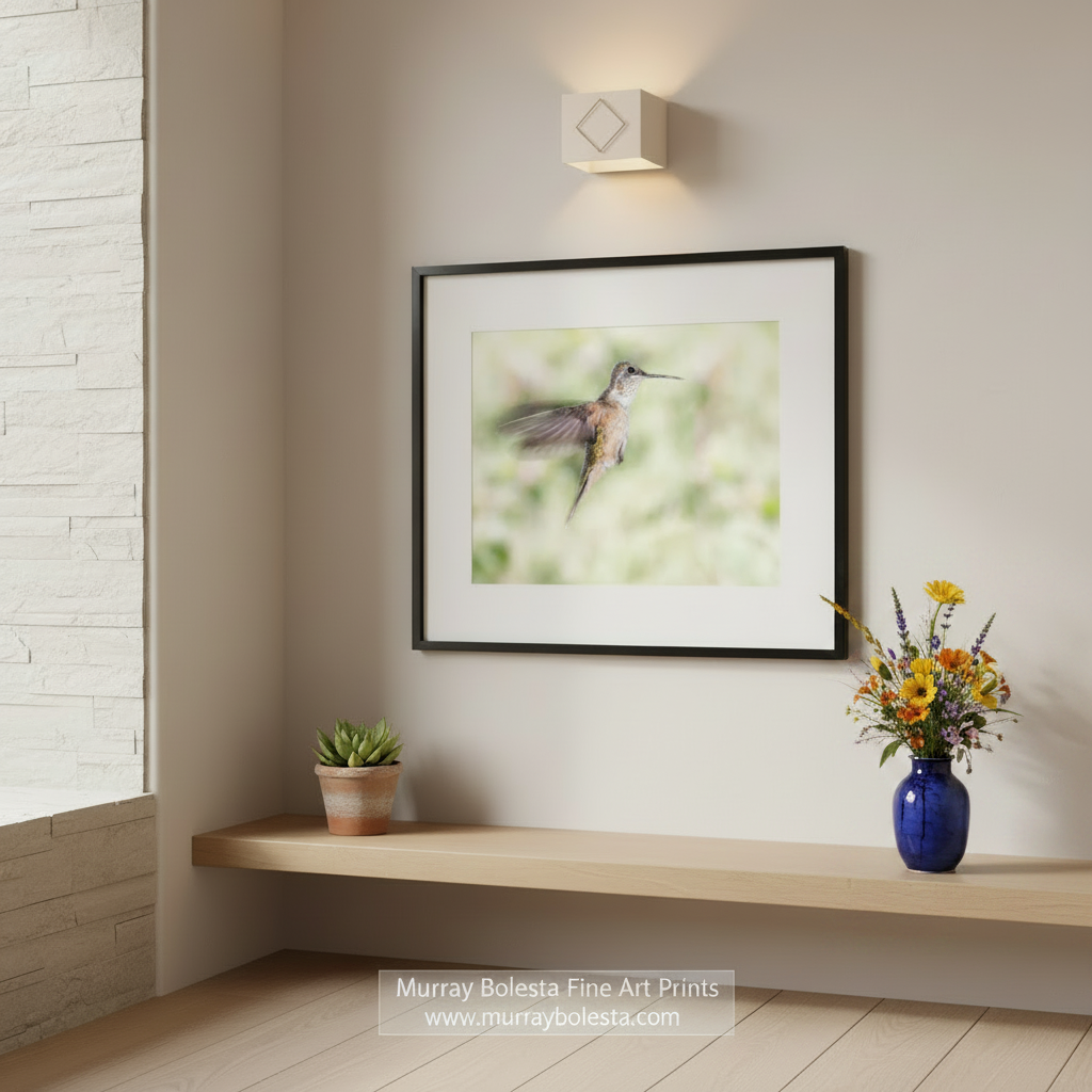 A hummingbird in mid-flight, with its wings spread wide, against a blurred green background.Flying Hummingbird Picture - Elegant Bird Wall Decor Print by Murray Bolesta