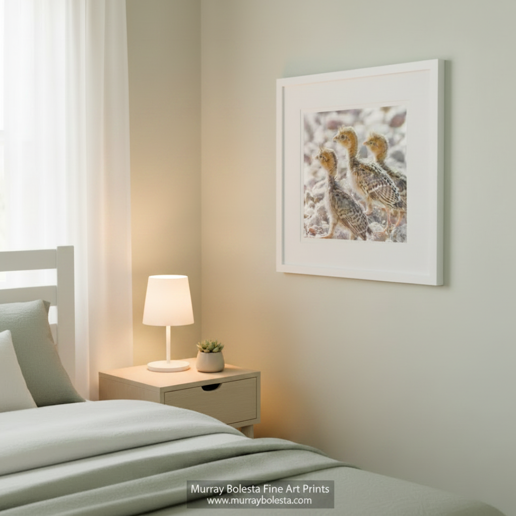 Baby Quail Chicks Art – Arizona Gambel's Quail Wall Decor
