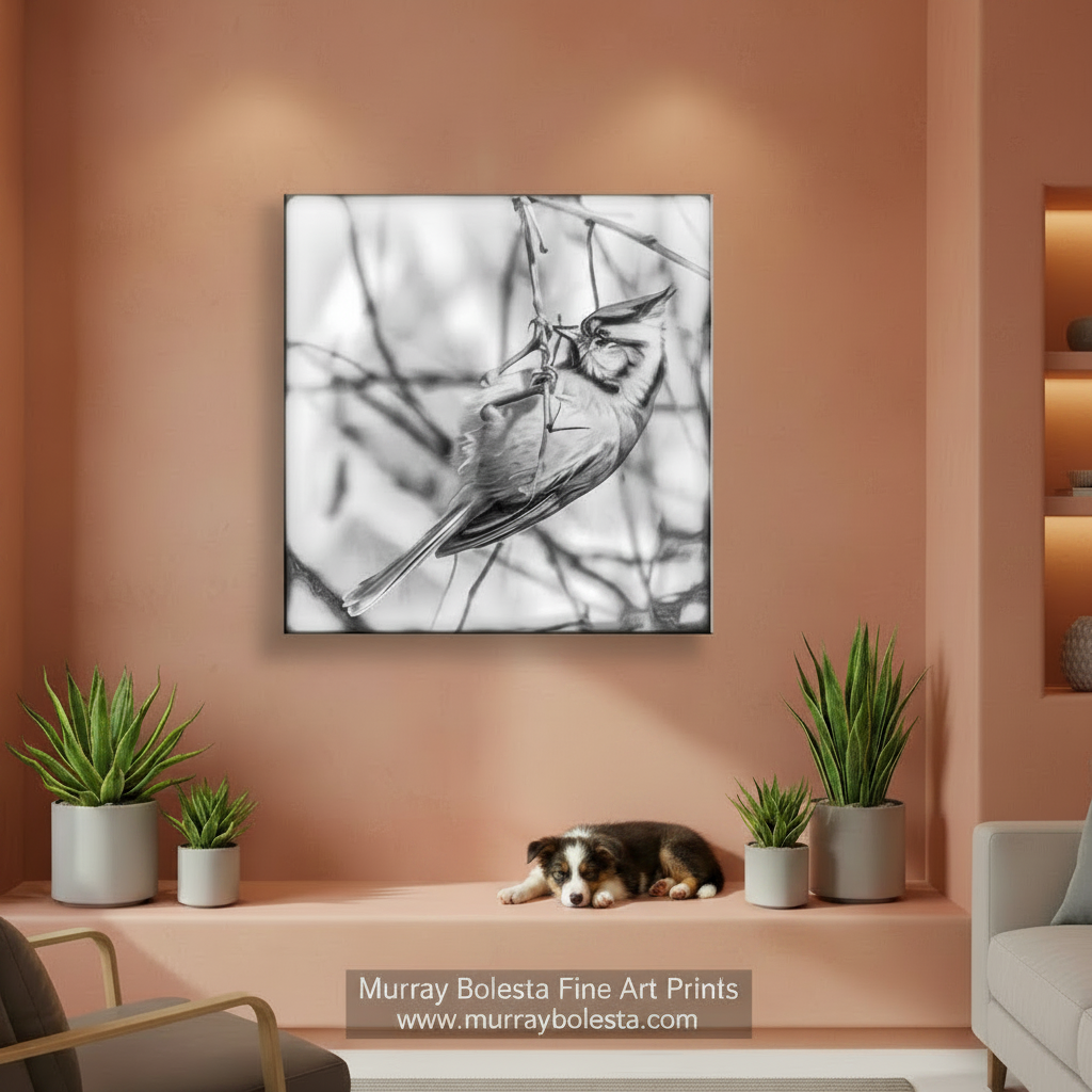 A black and white photograph of a bird perched on a branch, facing away from the camera.Bridled Titmouse Bird Photo - Black & White Wildlife Art Print by Murray Bolesta