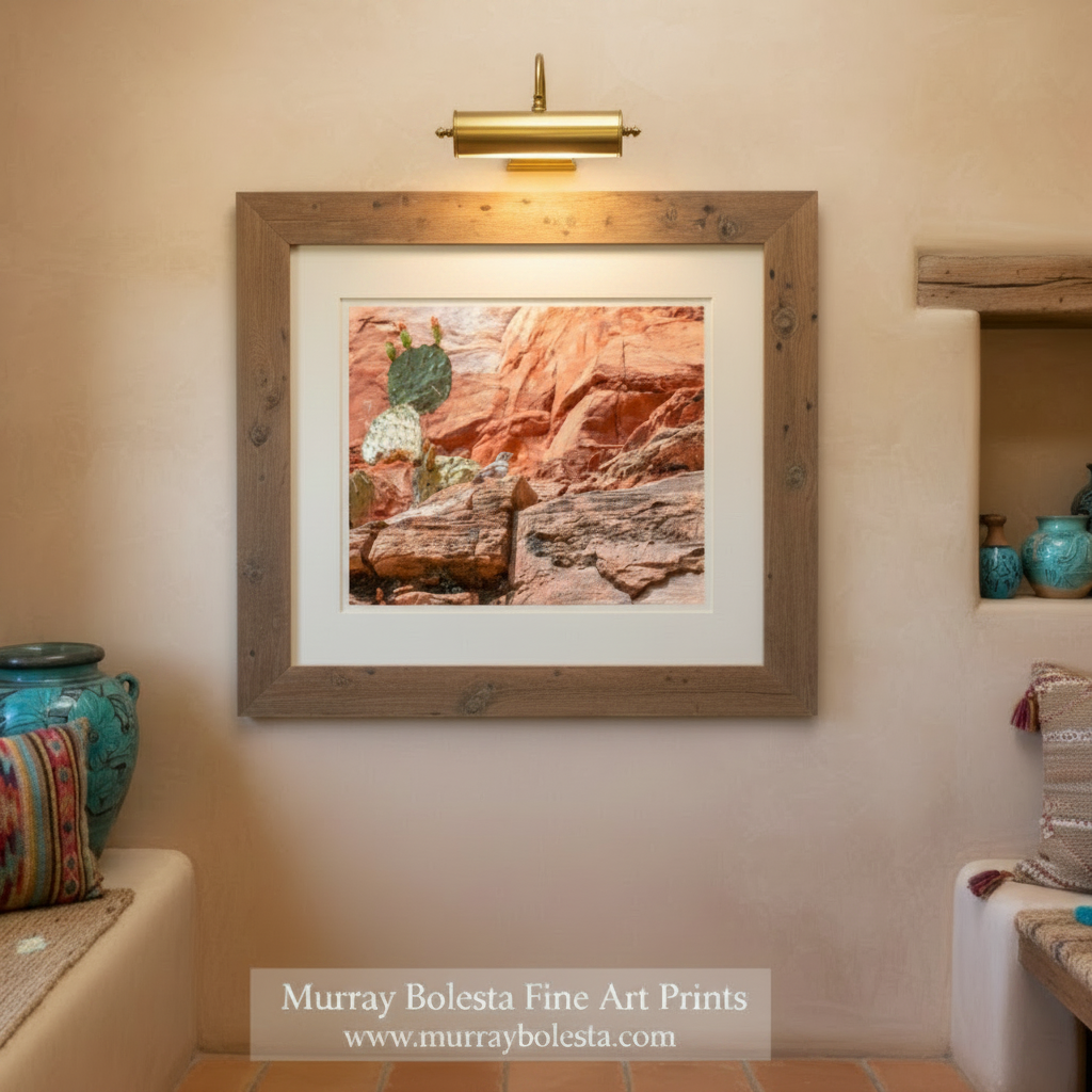 A bird perched on a rock formation in a desert landscape with a cactus plant in the background. San Pedro River canyon bird by Murray Bolesta