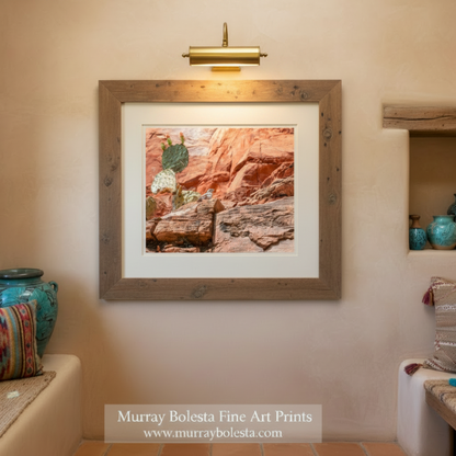 A bird perched on a rock formation in a desert landscape with a cactus plant in the background. San Pedro River canyon bird by Murray Bolesta