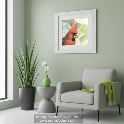 A close-up portrait of a red cardinal bird with a pointed beak and a distinctive crest on its head. Red Cardinal Bird Square Art - Arizona Bright Spring Nature Decor by Murray Bolesta