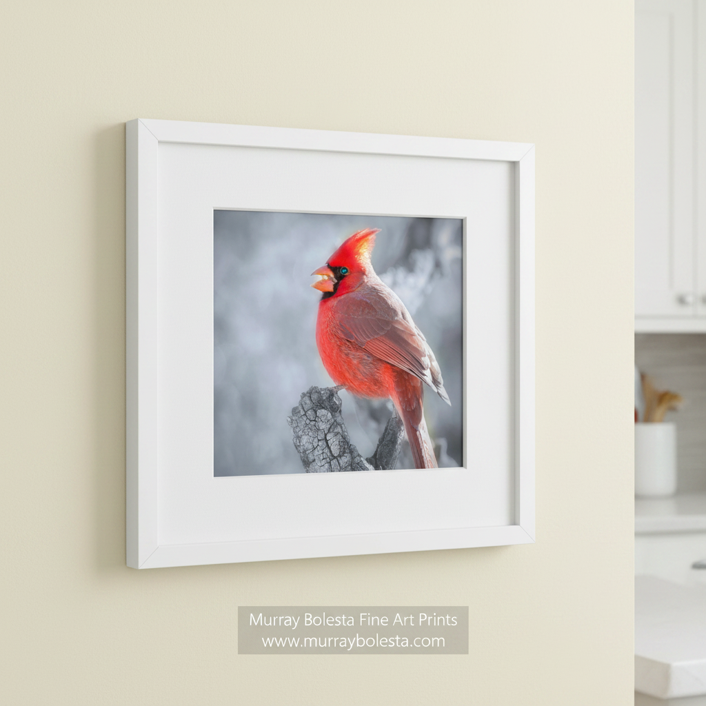 A vibrant red cardinal bird perched on a branch, facing to the right with its beak open. Red Cardinal in Winter Art - Arizona Bird Wall Decor for Home by Murray Bolesta