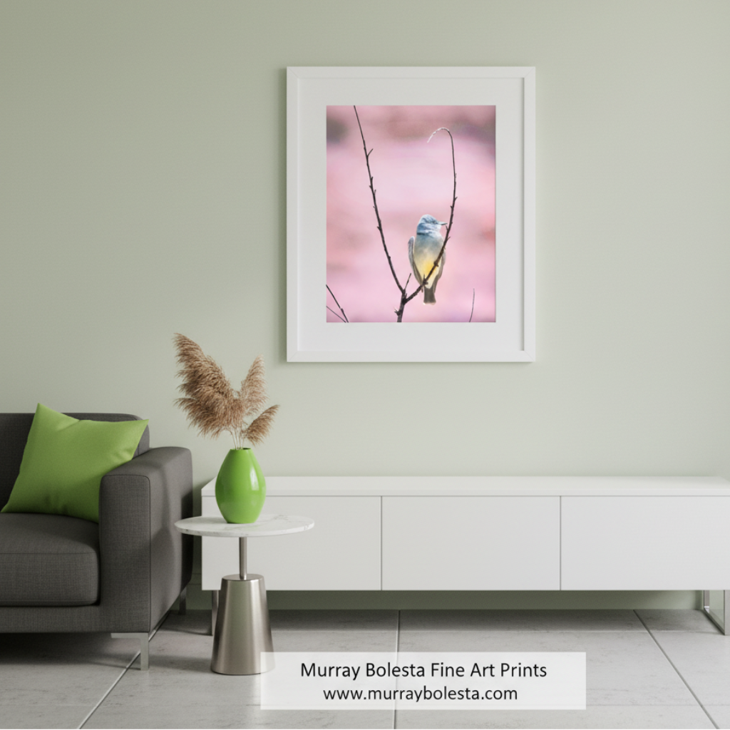 A vertical wall art print featuring a small bird perched on a thin branch against a soft pink background, shown as a mockup with a subtle drop shadow on a white background. San Rafael Valley bird art by Murray Bolesta!