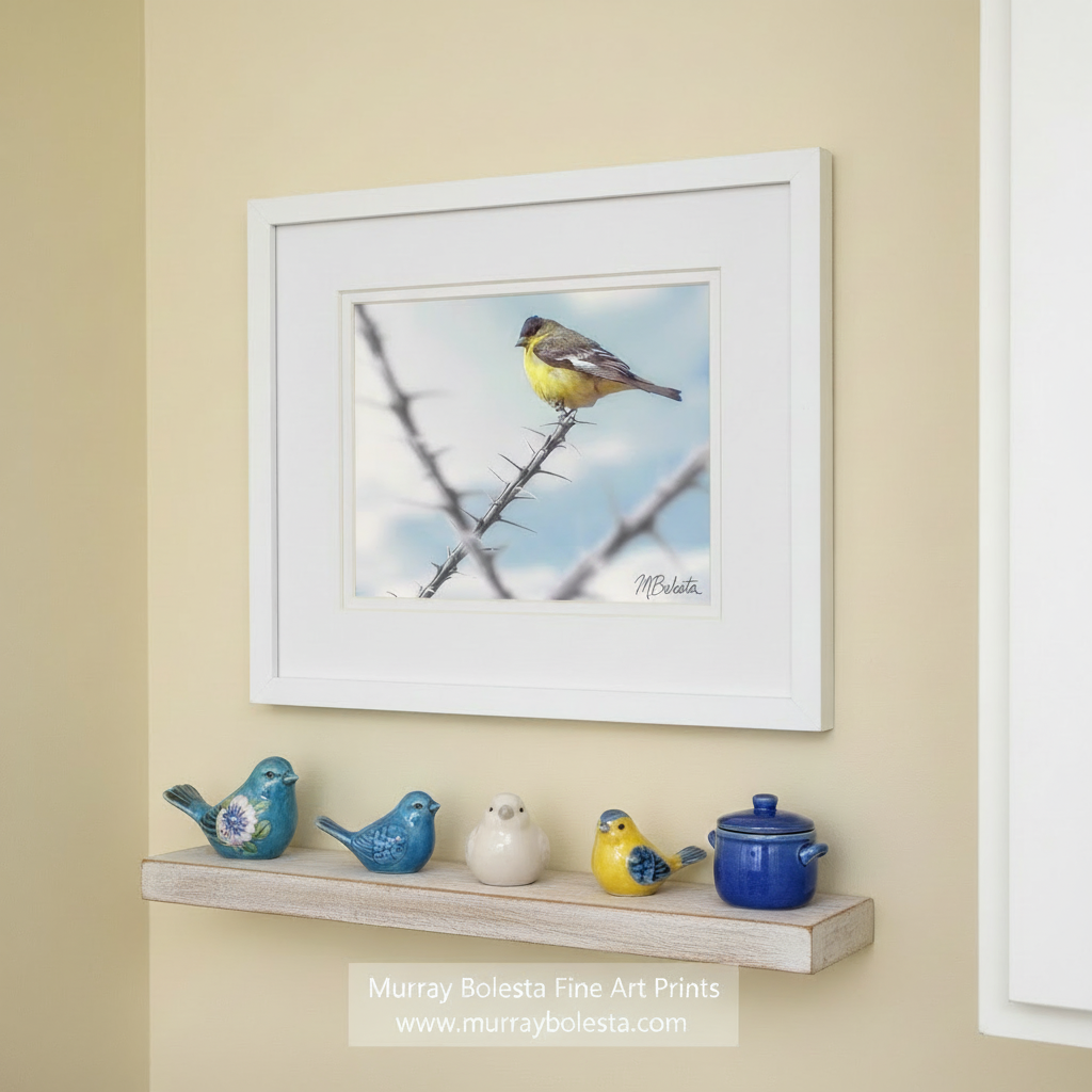 A small yellow bird perches on a thorny branch against a cloudy sky. Goldfinch Bird Art | Desert Ocotillo Western Wall Decor Print by Murray Bolesta