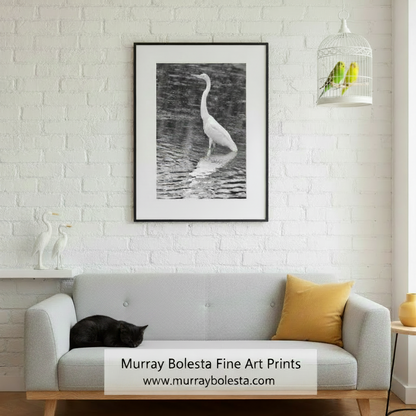 Black and white photograph of an egret bird standing in water on a textured wall, by Murray Bolesta
