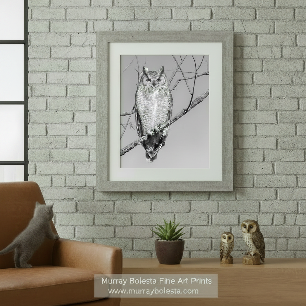A black and white image of an owl perched on a branch. Great Horned Owl Art | Black & White Arivaca Arizona Bird Print by Murray Bolesta