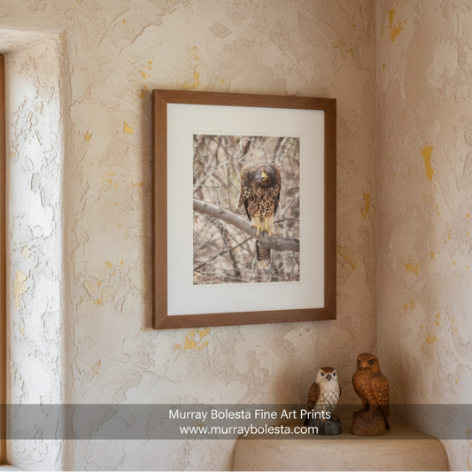 A brown and black bird, possibly a hawk, perched on a branch in a natural setting. Harris Hawk Art | Arizona Desert Bird Photography Wall Print by Murray Bolesta!