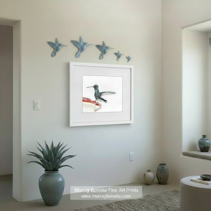 Minimalist Hummingbird in Flight Art - Arizona Bird Wall Decor by Murray Bolesta