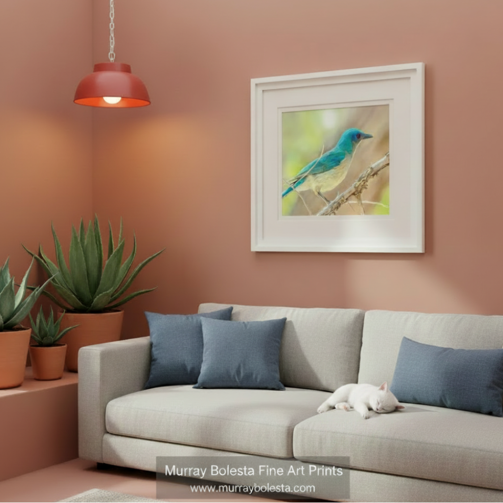 A blue and white bird perched on a branch, facing to the right.Blue Jay Forest Nature Art - Mexican Jay Bird Print for Home by Murray Bolesta