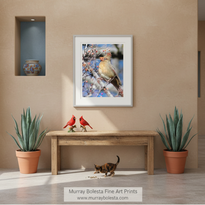 A bird perched on a branch, eating berries. Cardinal Bird Nature Photo Print | Avian Wall Decor Framed Art - Arivaca Cienega Arizona art by Murray Bolesta!