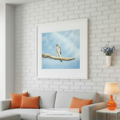 A bird of prey, likely a hawk, perches on a branch against a blue sky with wispy cloudsHawk Artwork Minimalist Bird Decor - Southern Arizona Gray Hawk by Murray Bolesta