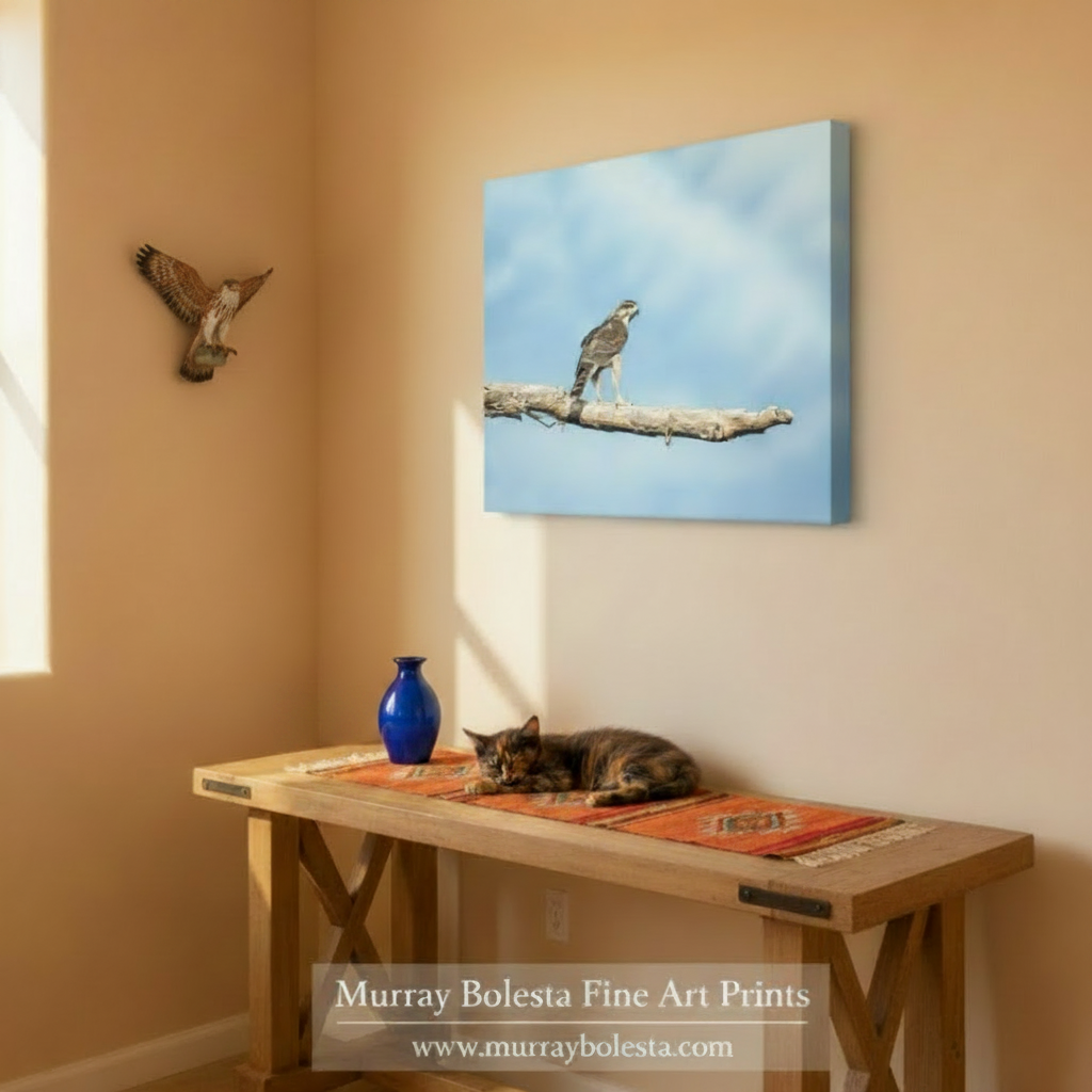 A bird perched on a branch against a blue sky with clouds. Gray Hawk Minimalist Art Print - Arizona Arivaca Wildlife Photography by Murray Bolesta