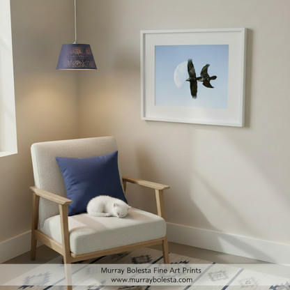 Two black birds fly in formation against a clear blue sky with a large, bright white moon in the background.Flying Raven Artwork with Moon - Arizona Bird Wall Decor Print by Murray Bolesta