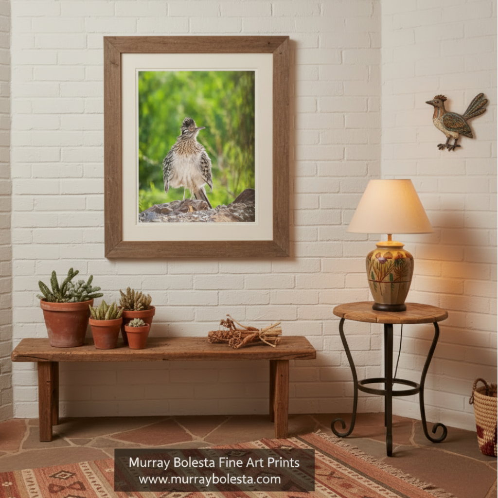 A small bird with a fluffy, speckled coat stands on a rocky surface, surrounded by lush greenery.Roadrunner Bird Art | Southern Arizona Desert Avian Photography by Murray Bolesta