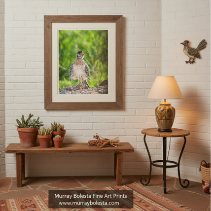 A small bird with a fluffy, speckled coat stands on a rocky surface, surrounded by lush greenery.Roadrunner Bird Art | Southern Arizona Desert Avian Photography by Murray Bolesta