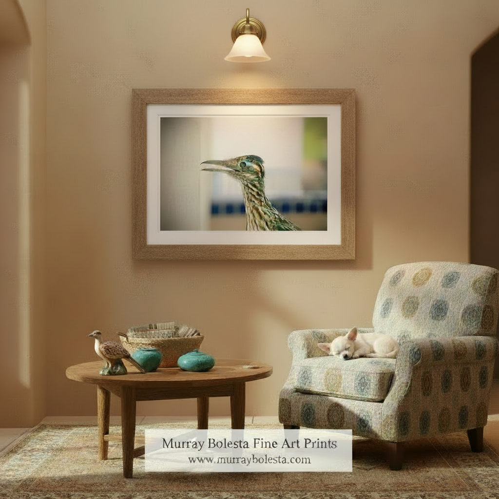 A close-up of a bird's head, with its beak and eyes clearly visible, against a blurred background. Desert Roadrunner Art | Arizona Avian Bird Wall Decor Print by Murray Bolesta