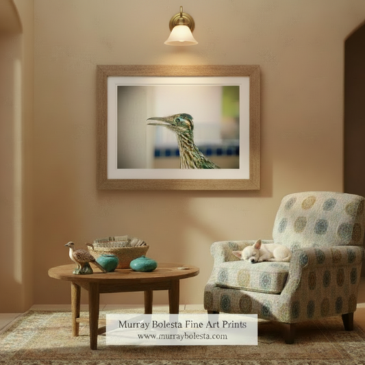A close-up of a bird's head, with its beak and eyes clearly visible, against a blurred background. Desert Roadrunner Art | Arizona Avian Bird Wall Decor Print by Murray Bolesta
