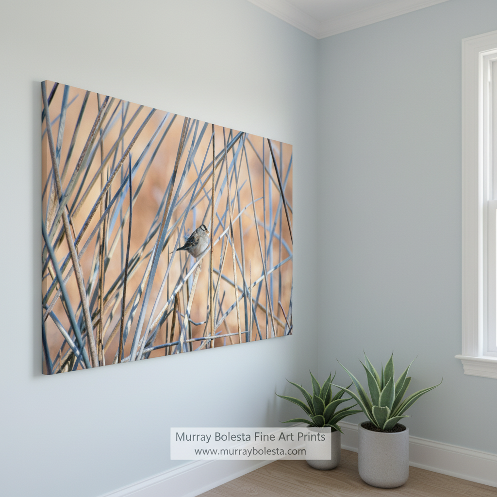 A small bird perched on a branch amid tall grasses. Sparrow in Reeds & Cattails - Arizona Wetlands Nature Art Print by Murray Bolesta