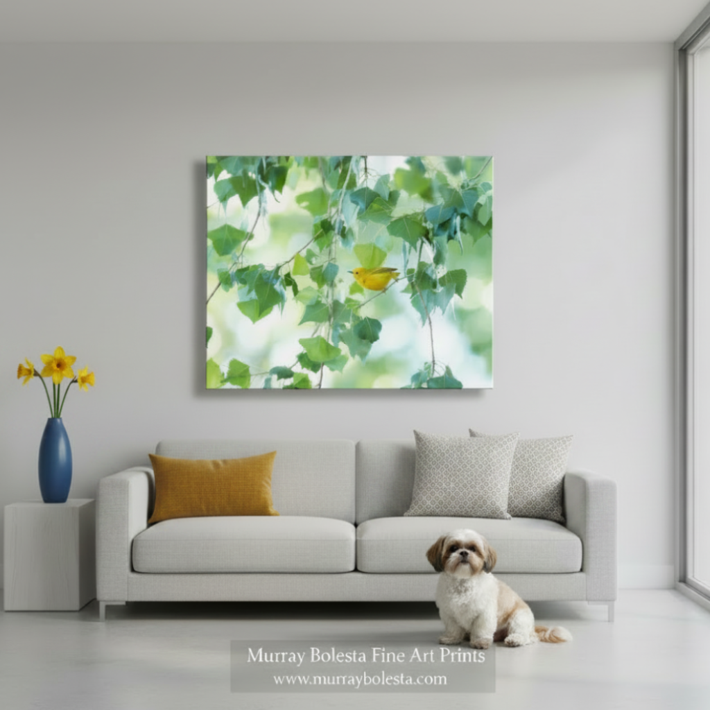 A yellow bird perched on a branch amid lush green leaves. Warbler Bird in Cottonwood Tree - Arizona Spring Nature Art Print by Murray Bolesta