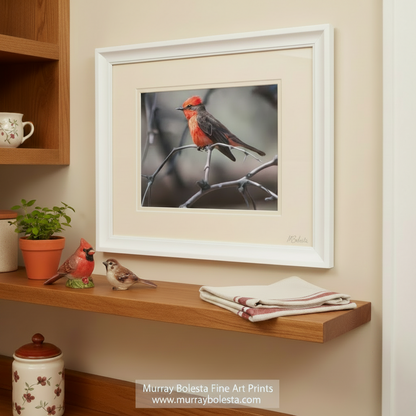 A vibrant red bird perches on a branch, its bright plumage contrasting with the muted tones of the surrounding environment. Vermilion Flycatcher Art | Arizona Avian Bird Wall Decor Print by Murray Bolesta