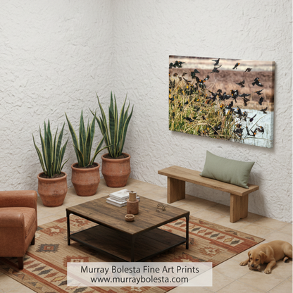 A flock of black and yellow birds flying over a body of water, surrounded by tall grasses. Wetland Birds Art | Yellow Headed Blackbirds in Arizona Print by Murray Bolesta