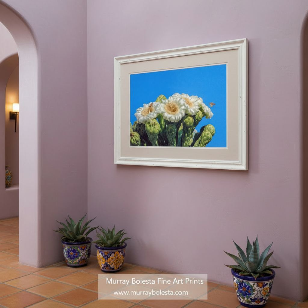 A close-up view of a cluster of white flowers with brown centers, set against a bright blue sky. Cactus Flower with Bees | Arizona Desert Spring Wall Art Print by Murray Bolesta
