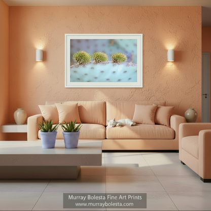 A close-up view of three small, green cactus plants with spines. Blue Cactus Art Print with Santa Rita Prickly Pear | Tucson Arizona by Murray Bolesta