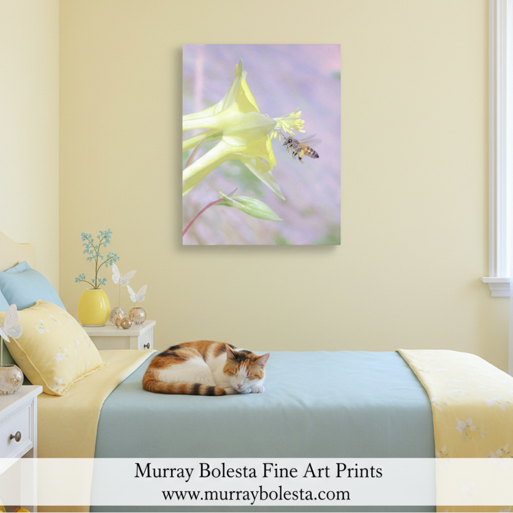 Pastel Yellow Columbine Flower Art Print with Bumble Bee by Murray Bolesta