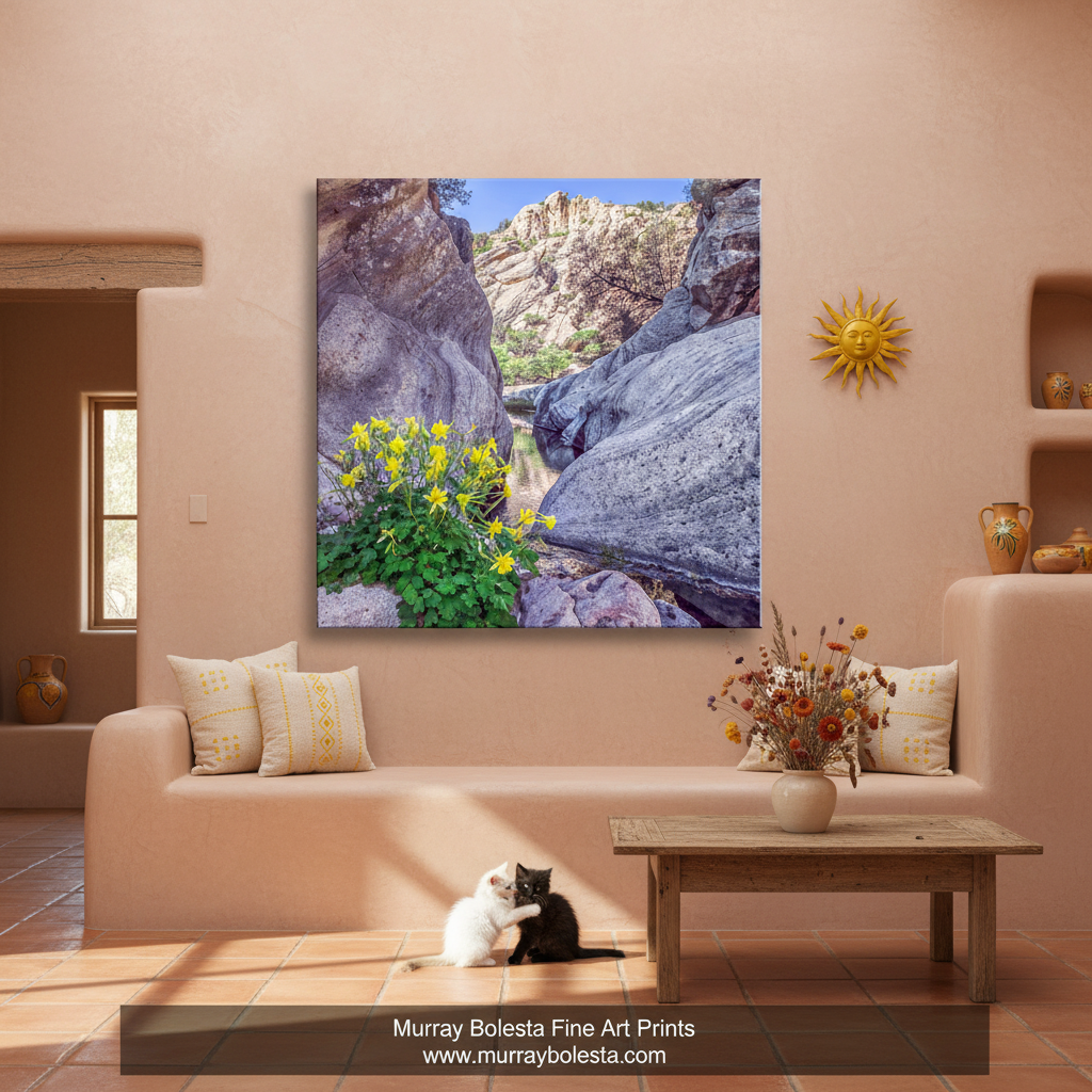 Yellow Columbine Flower Art Print | Arizona Canyon Picture by Murray Bolesta