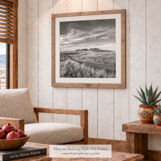 Arizona country-road artwork Empire Ranch country S. Arizona by Murray Bolesta