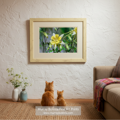 A close-up view of a vibrant yellow flower with green leaves, set against a blurred natural background. Wild Yellow Columbine Arizona Wilderness Creek by Murray Bolesta!
