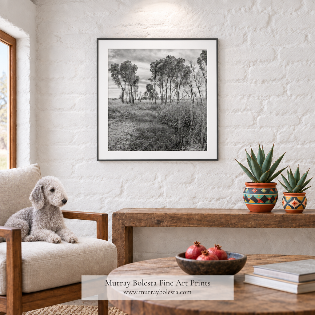 Arizona grasslands artwork in square size by Murray Bolesta. Unique!