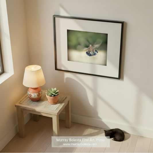A hummingbird in mid-flight, with its wings spread wide and its body angled downwards, against a blurred green background.Flying Hummingbird Photography Art Print - Bird Wall Decor by Murray Bolesta