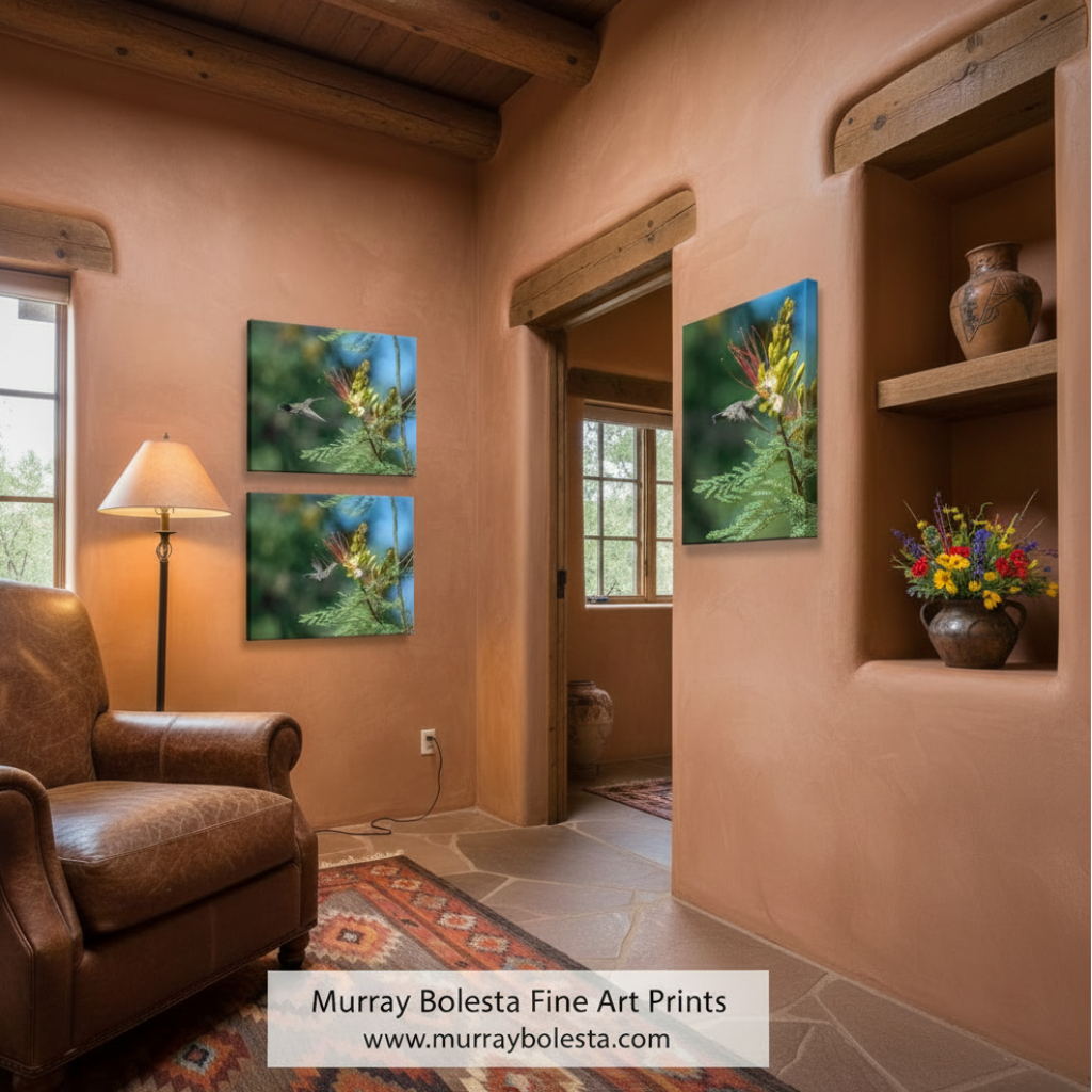 The image is a collage of three photographs depicting hummingbirds hovering near yellow flowers with red and green accents. Arizona Hummingbirds by Murray Bolesta!