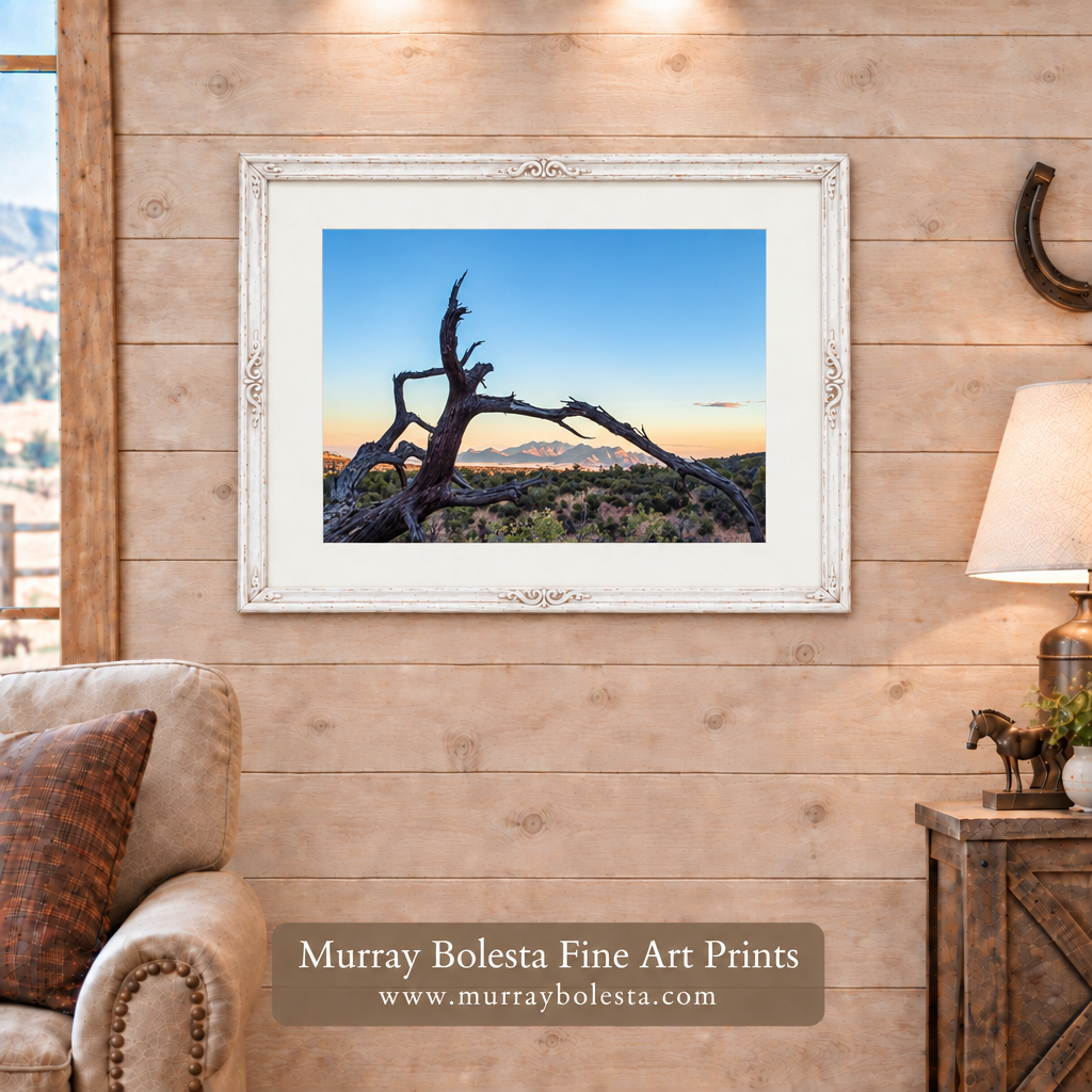 Arizona landscape artwork with slightly narrower image opening