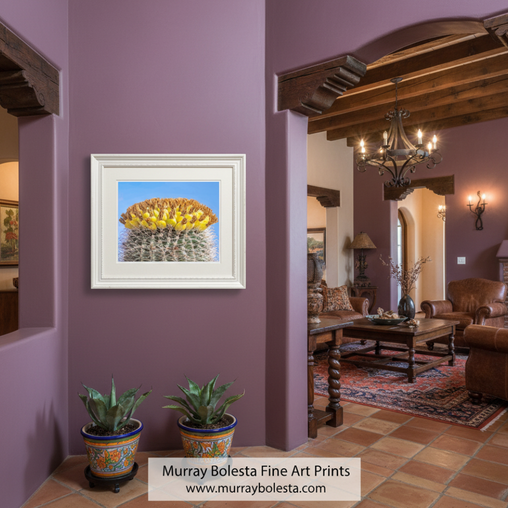 A close-up view of a cactus plant with numerous yellow flowers blooming on its spines against a clear blue sky. Barrel Cactus Fruit | Arizona Desert Botanical Wall Art Print by Murray Bolesta