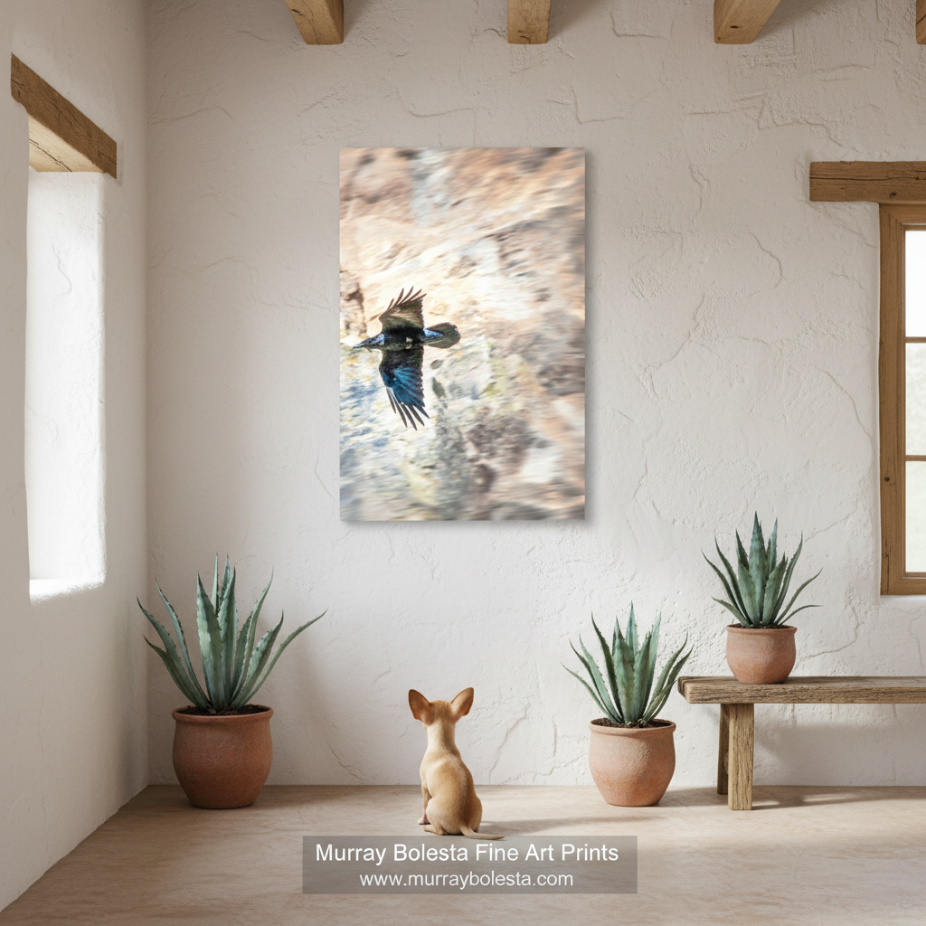 A vertical canvas art print depicting a black bird in flight against a warm beige and brown textured background, displayed on a white wall in a styled room with potted plants and a small dog figurine. A watermark at the bottom reads 'Murray Bolesta Fine Art Prints'. Sycamore Canyon Arizona border wilderness.