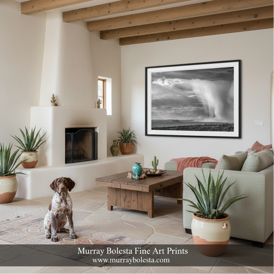 A framed black and white landscape art print of Tucson Arizona Monsoon by Murray Bolesta, displayed on a wall in a modern, sunlit living room with a dog, coffee table, and potted plants.