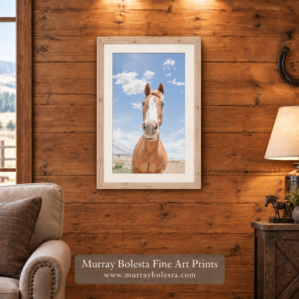 Arizona prairie horse artwork by Murray Bolesta
