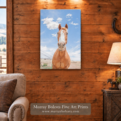 Arizona prairie horse canvas by Murray Bolesta