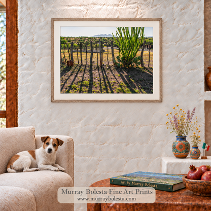 Arizona ranch artwork with ocotillo and mesquite fence by Murray Bolesta!