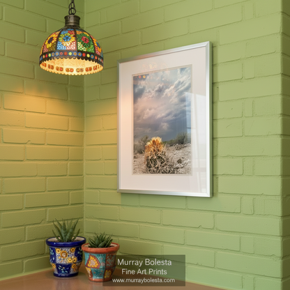 A cactus with yellow flowers blooming in a desert landscape, set against a cloudy sky. Desert Storm & Cactus Flower | Arizona Monsoon Landscape Art by Murray Bolesta