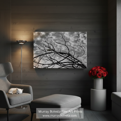 A bird perched on a bare tree branch against a cloudy sky. Surreal Bird Art | Lonely Bird Black & White Photography Print by Murray Bolesta