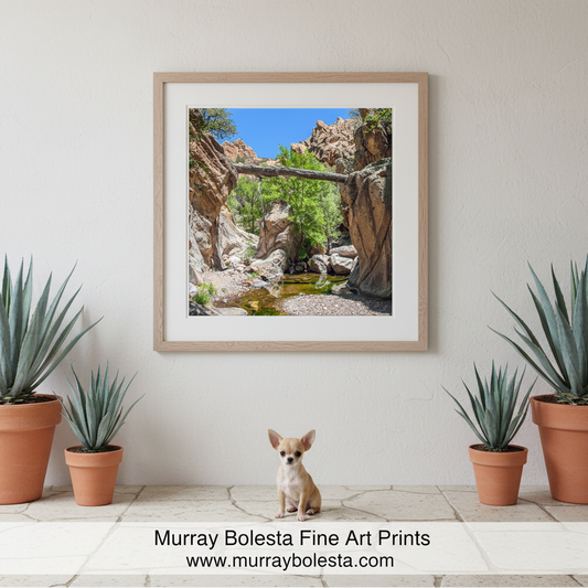 My beautiful desert canyon photograph with a fallen log in the Arizona wilderness! I captured this scene one of the remotest parts of borderlands Arizona. This is the spring water of Sycamore Canyon, Pajarita Wilderness! Original, unique signed art by Murray Bolesta.