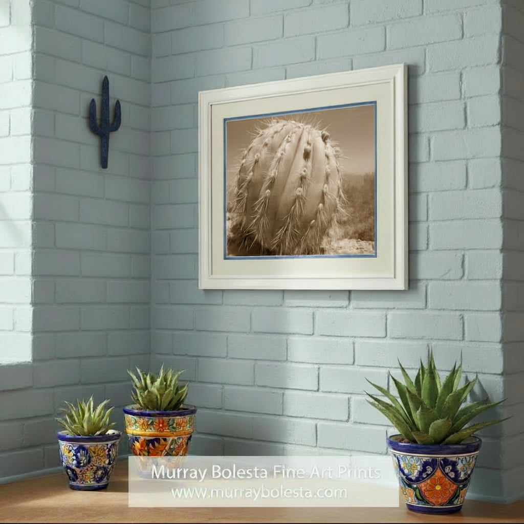 A close-up black and white photograph of a cactus plant with numerous spines and small flowers. Cactus Decor from Arizona Desert in Sepia Tone | Unique Tucson Gift by Murray Bolesta