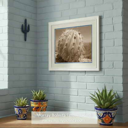 A close-up black and white photograph of a cactus plant with numerous spines and small flowers. Cactus Decor from Arizona Desert in Sepia Tone | Unique Tucson Gift by Murray Bolesta